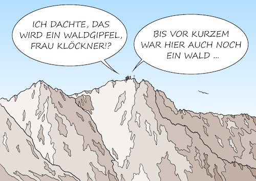 Waldgipfel