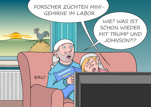 Cartoon: Zuchterfolg (medium) by Erl tagged politik,wissenschaft,forschung,züchtung,gehirn,mini,labor,ersatzteile,fernsehen,schlaf,nachrichten,donald,trump,boris,johnson,rechtspopulismus,karikatur,erl,politik,wissenschaft,forschung,züchtung,gehirn,mini,labor,ersatzteile,fernsehen,schlaf,nachrichten,donald,trump,boris,johnson,rechtspopulismus,karikatur,erl