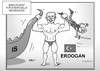 Türkei Neuwahlen