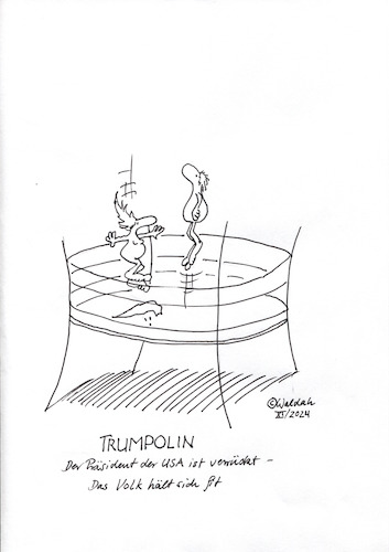 Cartoon: Trumpolin (medium) by waldah tagged trump,gesund,bleiben