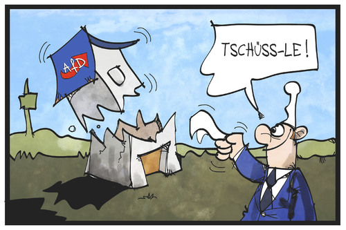 AfD-Spaltung