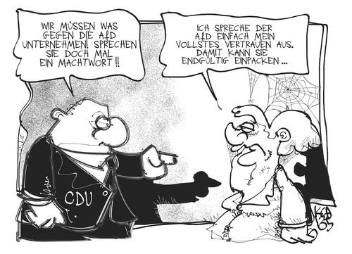 CDU und AfD