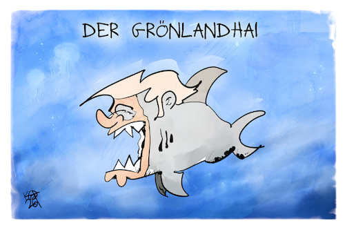 Der Grönlandhai