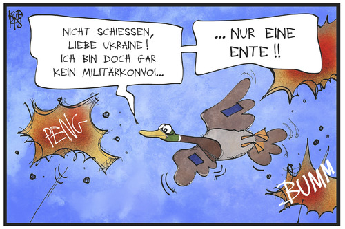 Ente im Ukraine-Konflikt