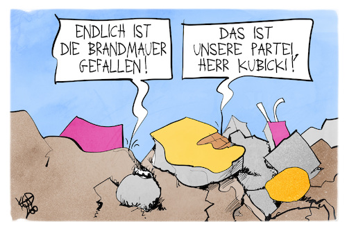 FDP und AfD