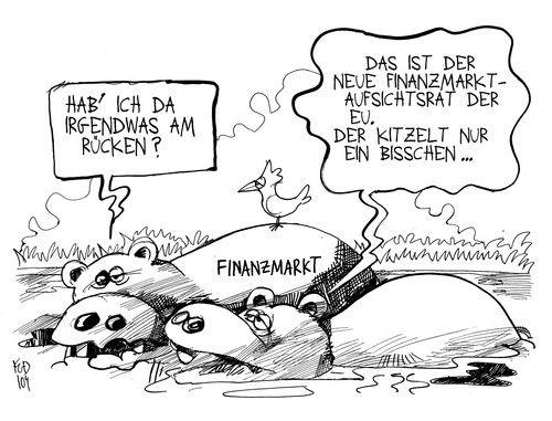 Finanzmarktaufsichtsrat