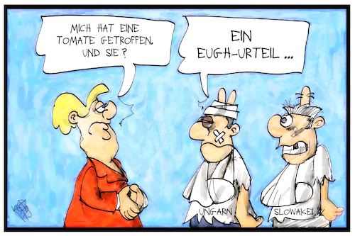 Flüchtlingsquote