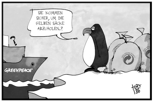 Cartoon: Gefahr Plastikmüll (medium) by Kostas Koufogiorgos tagged karikatur,koufogiorgos,illustration,cartoon,greenpeace,plastik,mikroplastik,gelber,sack,recycling,umwelt,pinguin,antarktis,südpol,grün,punkt,wertstoff,abholung,müllabfuhr,karikatur,koufogiorgos,illustration,cartoon,greenpeace,plastik,mikroplastik,gelber,sack,recycling,umwelt,pinguin,antarktis,südpol,grün,punkt,wertstoff,abholung,müllabfuhr