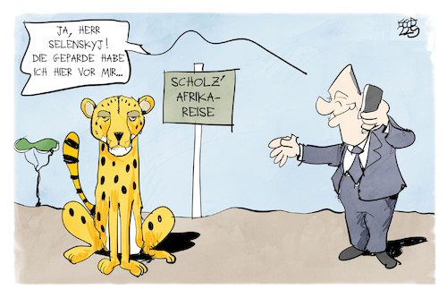 Cartoon: Geparde für Selenskyj (medium) by Kostas Koufogiorgos tagged karikatur,koufogiorgos,selenskyj,scholz,gepard,panzer,waffen,ukraine,afrika,reise,karikatur,koufogiorgos,selenskyj,scholz,gepard,panzer,waffen,ukraine,afrika,reise