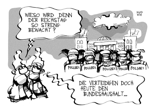 Haushalt und Reichstag