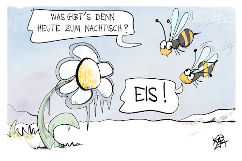 Cartoon: Später Schnee (medium) by Kostas Koufogiorgos tagged karikatur,koufogiorgos,schnee,blume,blüte,biene,eis,wetter,kälte,wildtier,karikatur,koufogiorgos,schnee,blume,blüte,biene,eis,wetter,kälte,wildtier