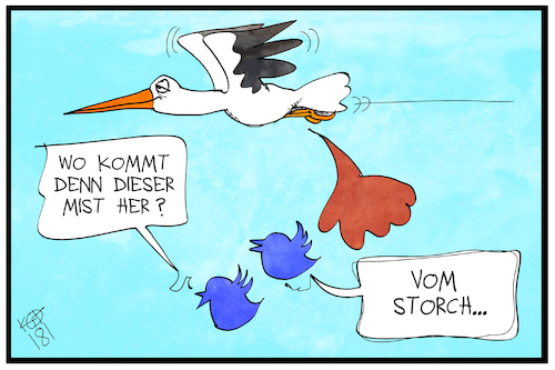 Storch twittert