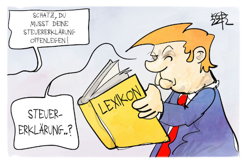 Trumps Steuer