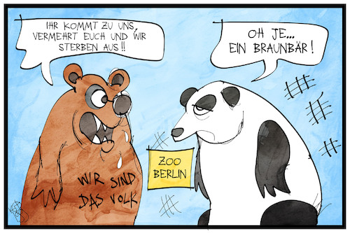 Cartoon: Von Panda- und Braunbären (medium) by Kostas Koufogiorgos tagged karikatur,koufogiorgos,illustration,cartoon,panda,zoo,berlin,braunbär,ausländerfreindlichkeit,rassismus,tier,karikatur,koufogiorgos,illustration,cartoon,panda,zoo,berlin,braunbär,ausländerfreindlichkeit,rassismus,tier