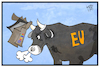 EU und Google