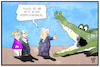 Cartoon: Groko-Gipfel (small) by Kostas Koufogiorgos tagged karikatur,koufogiorgos,illustration,cartoon,groko,grokodil,merkel,schulz,steinmeier,verhandlung,maul,gefahr,krokodil