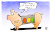 Cartoon: Haushaltsstreit (small) by Kostas Koufogiorgos tagged karikatur,koufogiorgos,haushalt,ampel,sparschwein