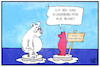 Cartoon: Klimakonferenz Bonn (small) by Kostas Koufogiorgos tagged karikatur,koufogiorgos,illustration,cartoon,klimakonferenz,haribo,eisbär,schmelze,erderwärmung,klimawandel,bonn