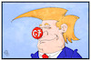 Trumps G7