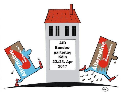 AfD Parteitag 1