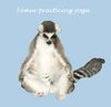 Cartoon: Lemur practicing yoga (small) by azamponi tagged animals,yoga,nature,madagascar