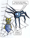 Cartoon: Fetisch im Netz (small) by bertgronewold tagged spinne fliege netz bondage