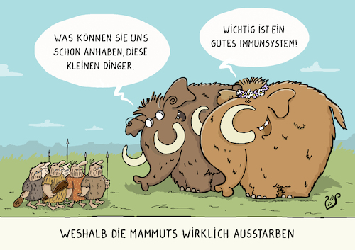 Gutes Immunsystem