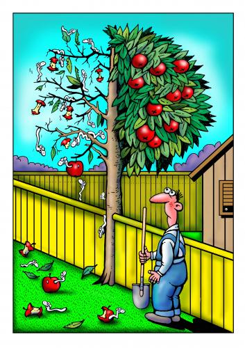 Cartoon: Nachbarn (medium) by kurtu tagged nachbarn,nachbarschaft,nachbar,garten,gartenzaun,gartenpflege,gärtner,apfelbaum,frucht,obst,maden,würmer,verfault,neid,konkurrenz,eifersucht,feindschaft