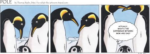 Cartoon: POLE Strip No.21 (medium) by Penguin_guy tagged penguins,pinguine,pets,tiere,homosexuals,gays,familie,family,gender,,pinguine,tiere,vögel,natur,seetaucher,taucher,meer,kalt,mutter,vater,eltern,kind,frage,aussehen,unterschiede,geschlechter,uniform,gleich