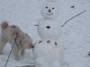 Cartoon: snowman meets snowdog (small) by Resha tagged snow,animal,dog,fun,love,winter,snowman