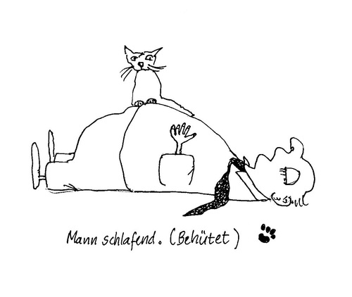 Cartoon: behüteter schlafender Mann (medium) by Marbez tagged mann,schlafend,behütet