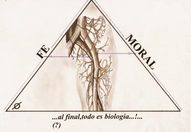 Cartoon: FEMORAL (medium) by QUIM tagged fe,,illustration,glaube,moral,biologie,dreieck,wurzel,adern,mathematik