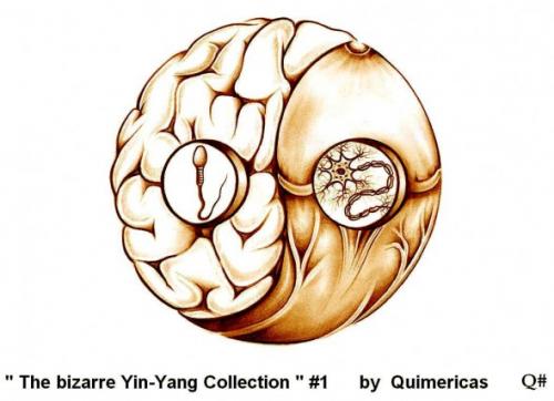 Cartoon: THE BIZARRE YIN YANG COLLECTION (medium) by QUIM tagged yin,yang,,yin,yang,sperma,gehirn,penis,nervenzellen,eichel,schwellkörper,verhältnis,illustration,blut,zirkulation