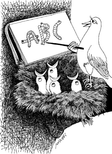 Cartoon: birds school (medium) by Medi Belortaja tagged teaching,humor,nest,worms,education,birds,school
