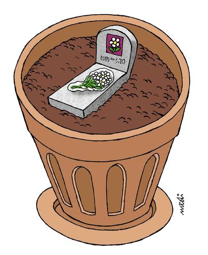 Cartoon: dead of flower (medium) by Medi Belortaja tagged flowerpot,grave,flower,death