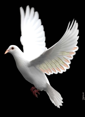 Cartoon: dove armed (medium) by Medi Belortaja tagged military,colombo,pigeon,dove,bullets,armed,peace,war