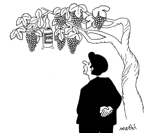 Cartoon: evolution (medium) by Medi Belortaja tagged evolution,grapa,grape,wine,alcohol,pergola