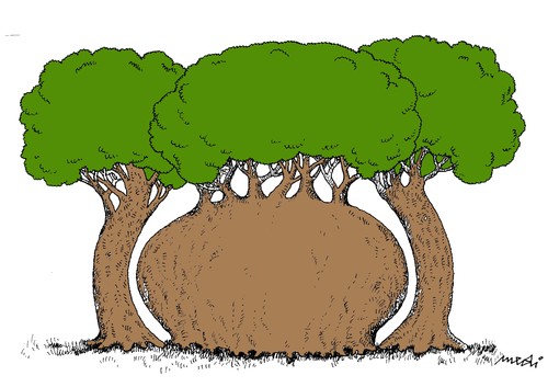 Cartoon: obese tree (medium) by Medi Belortaja tagged obese,tree