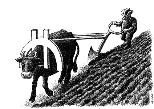 Cartoon: plowing (medium) by Medi Belortaja tagged crisis,financial,bull,euro,plowing