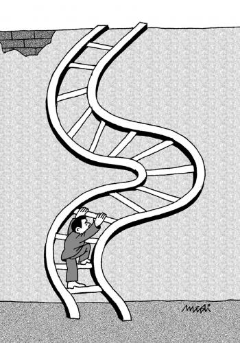 Cartoon: climbing stairs (medium) by Medi Belortaja tagged ladder,wall,dodge,stairs,climbing