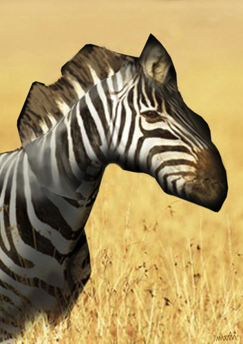 Cartoon: zebra (medium) by Medi Belortaja tagged map,animals,zebra,africa,environment