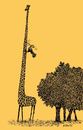 Cartoon: giraffe (small) by Medi Belortaja tagged giraffe,woodpecker,bird,neck,peck,humor