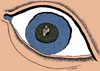 Cartoon: eye island (small) by Medi Belortaja tagged eye,island,robinson,crusoe