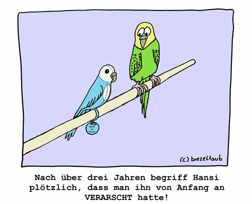 Cartoon: Liebeslüge (medium) by brezeltaub tagged wellensittich,lüge,liebe,love,gefangen,plastik