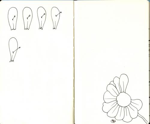 Cartoon: Daisy (medium) by freekhand tagged daisy,petals,nails