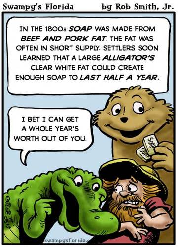 Cartoon: Swampys Florida Webcomic (medium) by RobSmithJr tagged florida,webcomic,comic,cartoon,history,alligator,gator,gators,soap,settler