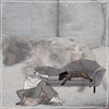Cartoon: Hundekorb (small) by kika tagged hund,mensch,sofa,hundekorb