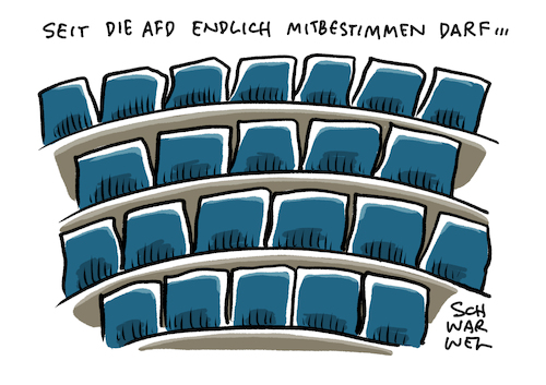 Bundestag Fehlen AfD