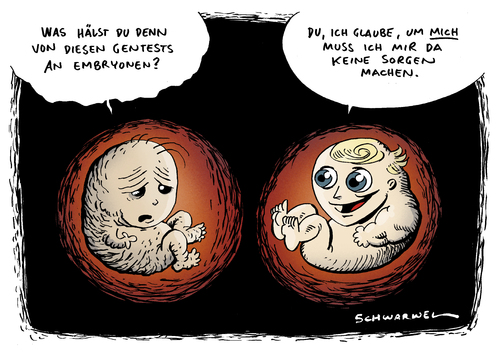 Bundestag Gentests an Embryos