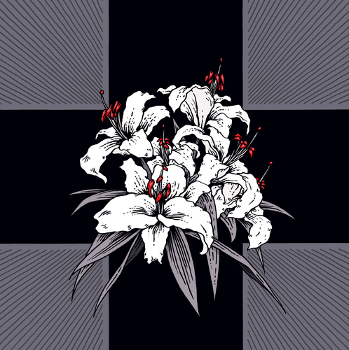 Cartoon: Lilie (medium) by Schwarwel tagged aphrodite,hera,duft,schönheit,reinheit,symbol,pflanze,kreuz,tod,liebe,schwarz,weiß,blume,lilie,schwarwel